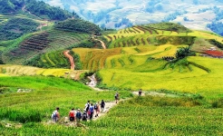 Sapa - Sin Chai Village