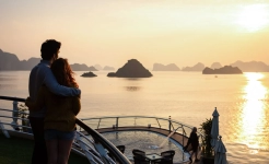 Stellar of the Seas Cruise