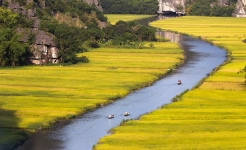 Ninh Binh - Tam Coc