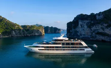 Stellar Of The Seas Cruise - Lan Ha Bay 2 Days 1 Night
