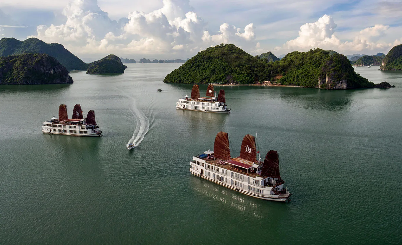 Pelican Kreuzfahrt - Halong Bucht 2 Tage 1 Nacht